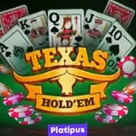 Игровой слот Texas Hold'em от Platipus